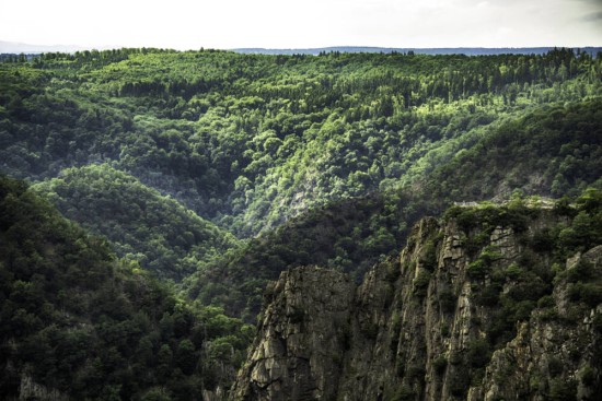 Das Bodetal im Harz