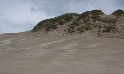 Endloses Sandmeer an der Ostsee